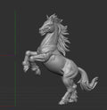 Rearing Stallion – Anatomical 3D Sculpt